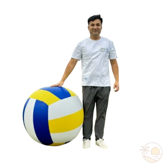 ballon geant de plage 100 cm