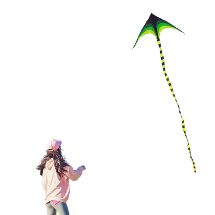 cerf-volant monofil vol