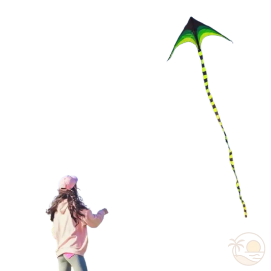 cerf-volant monofil vol