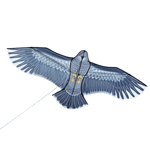 cerf volant aigle en vol