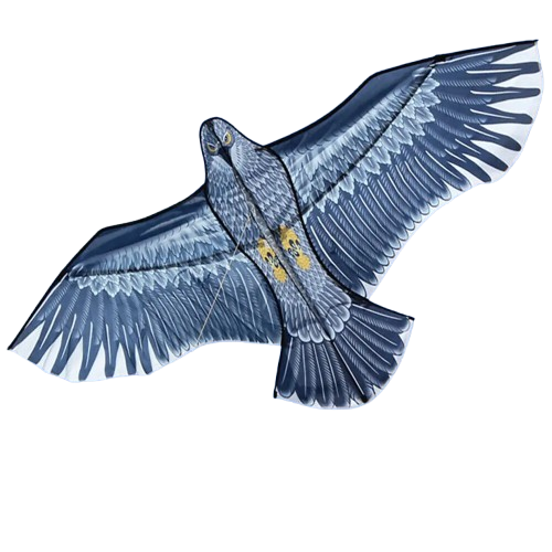 cerf volant aigle vol