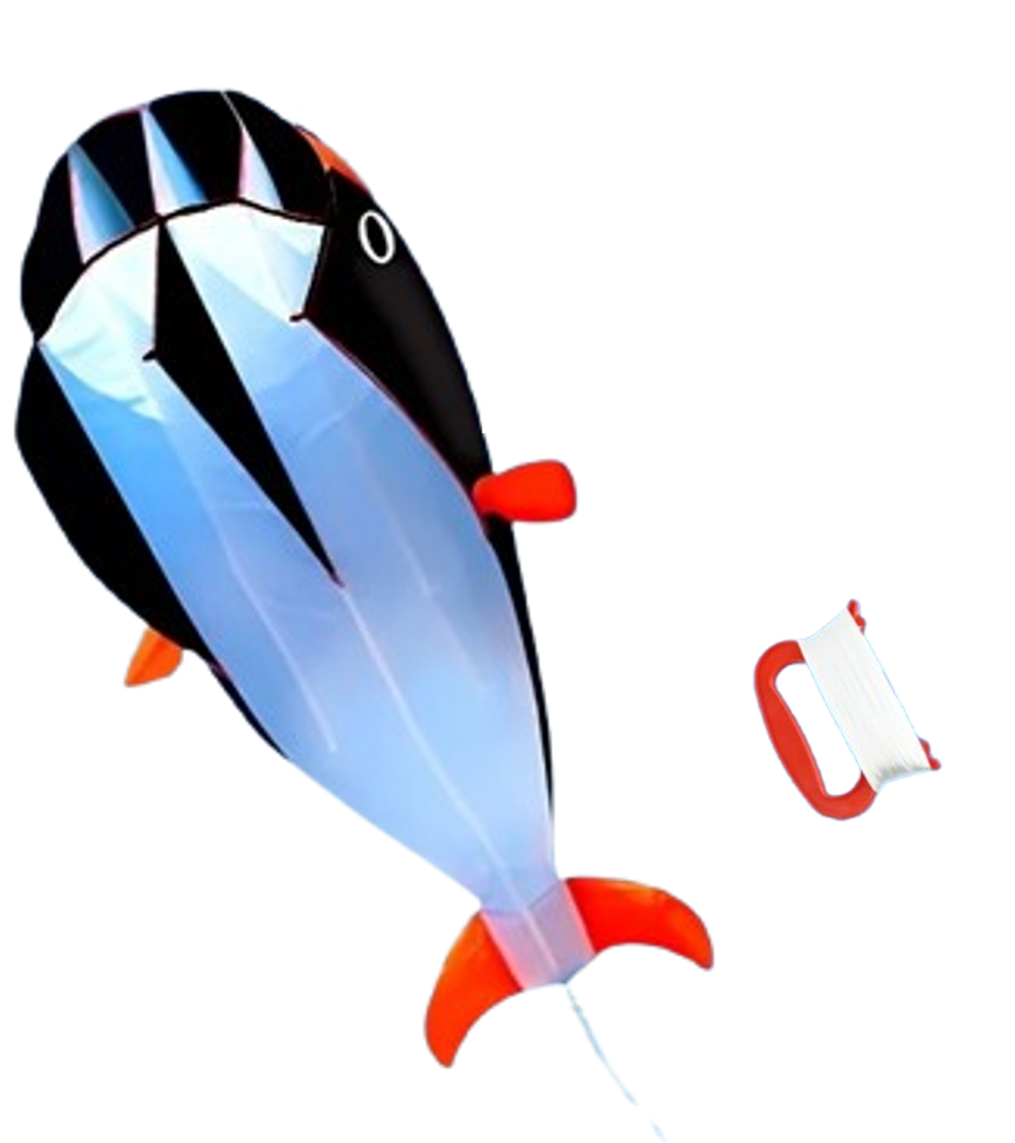 cerf volant baleine noire