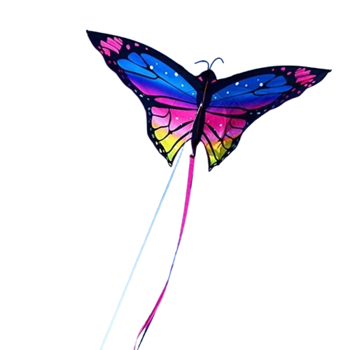 cerf volant papillon 2