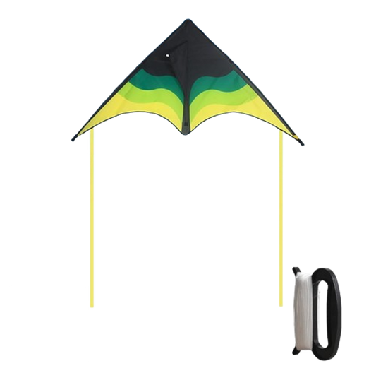 cerf volant plage vert