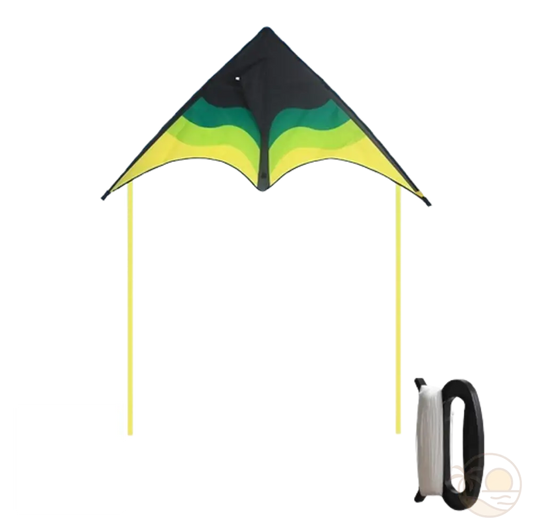 cerf volant plage vert