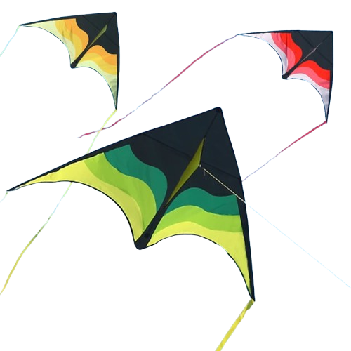 cerfs-volants plage vert jaune rose