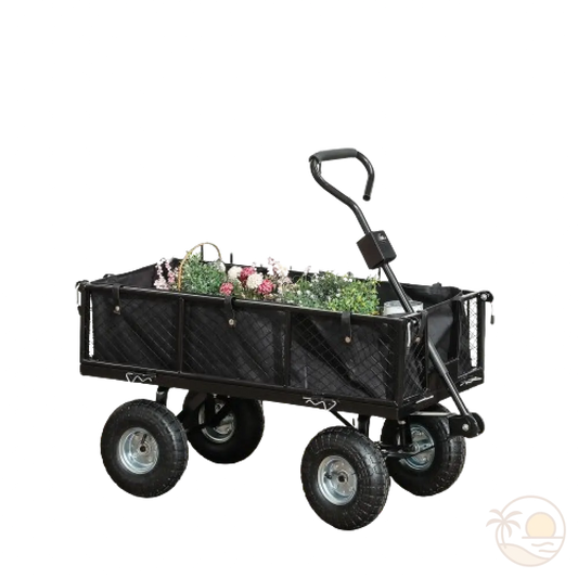 chariot de plage grosses roues plein