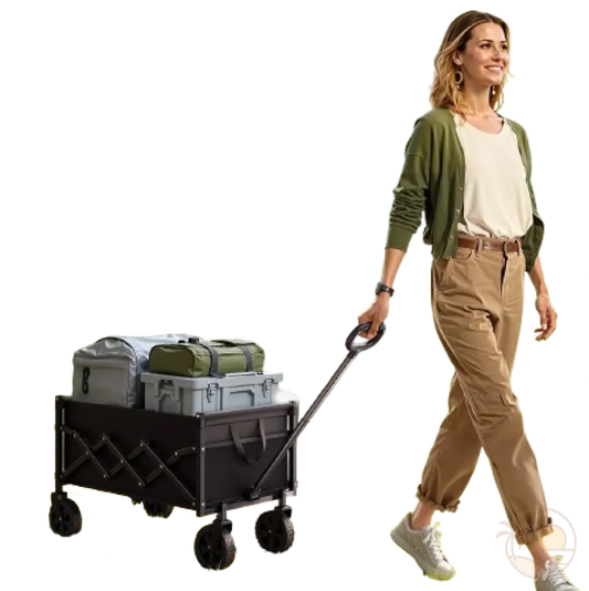 chariot de transport pour la plage femme