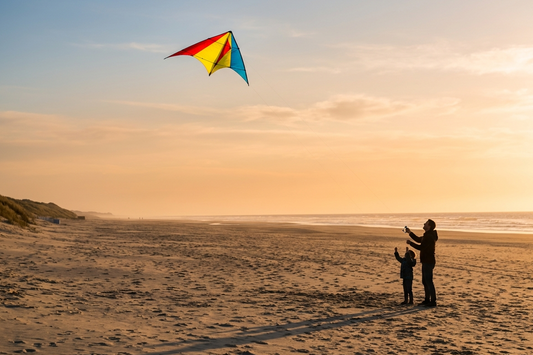 homme fils cerf volant monofil plage mer coucher de soleil