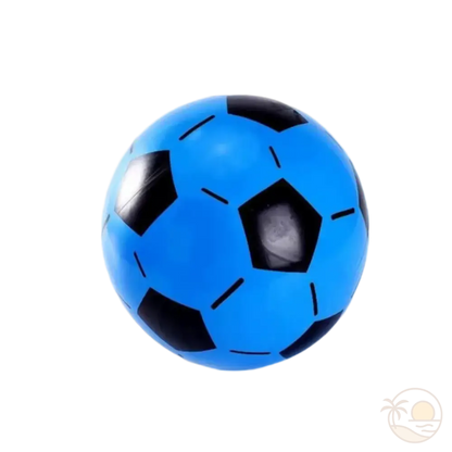 ballon de foot de plage bleu