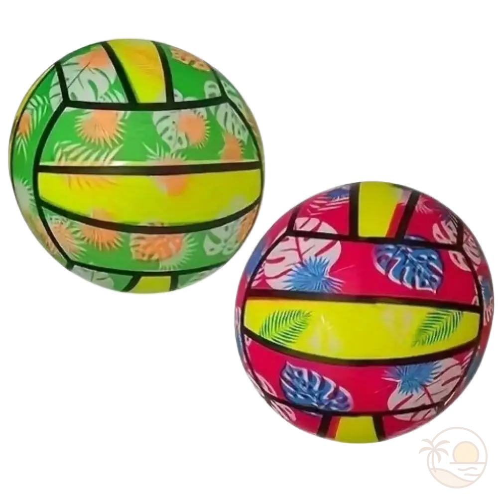 ballon de volley plage deux
