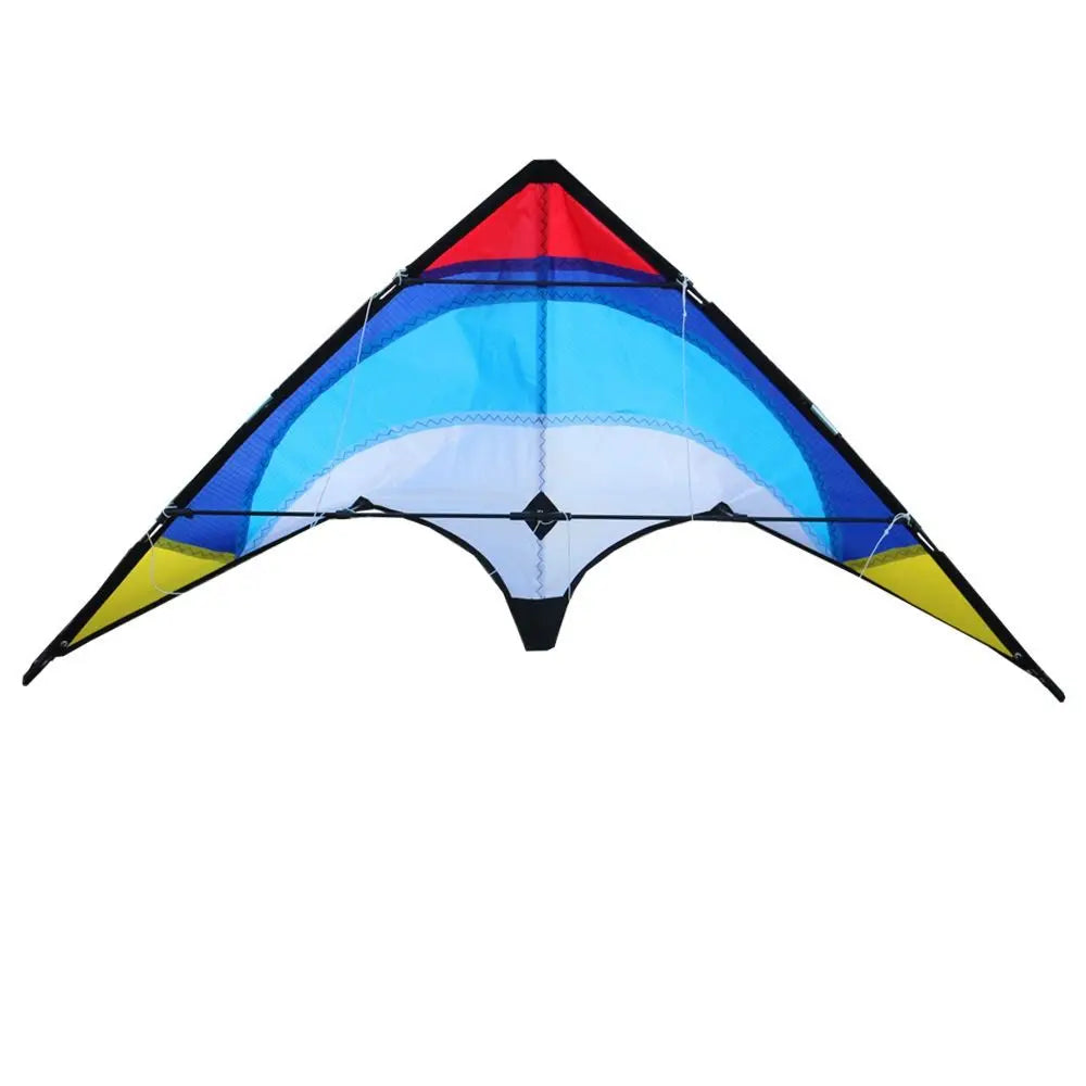 cerf-volant 2 lignes poisson volant