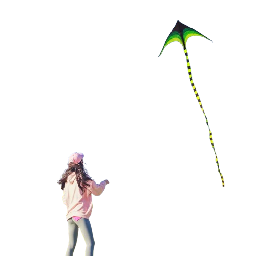 cerf-volant monofil vol