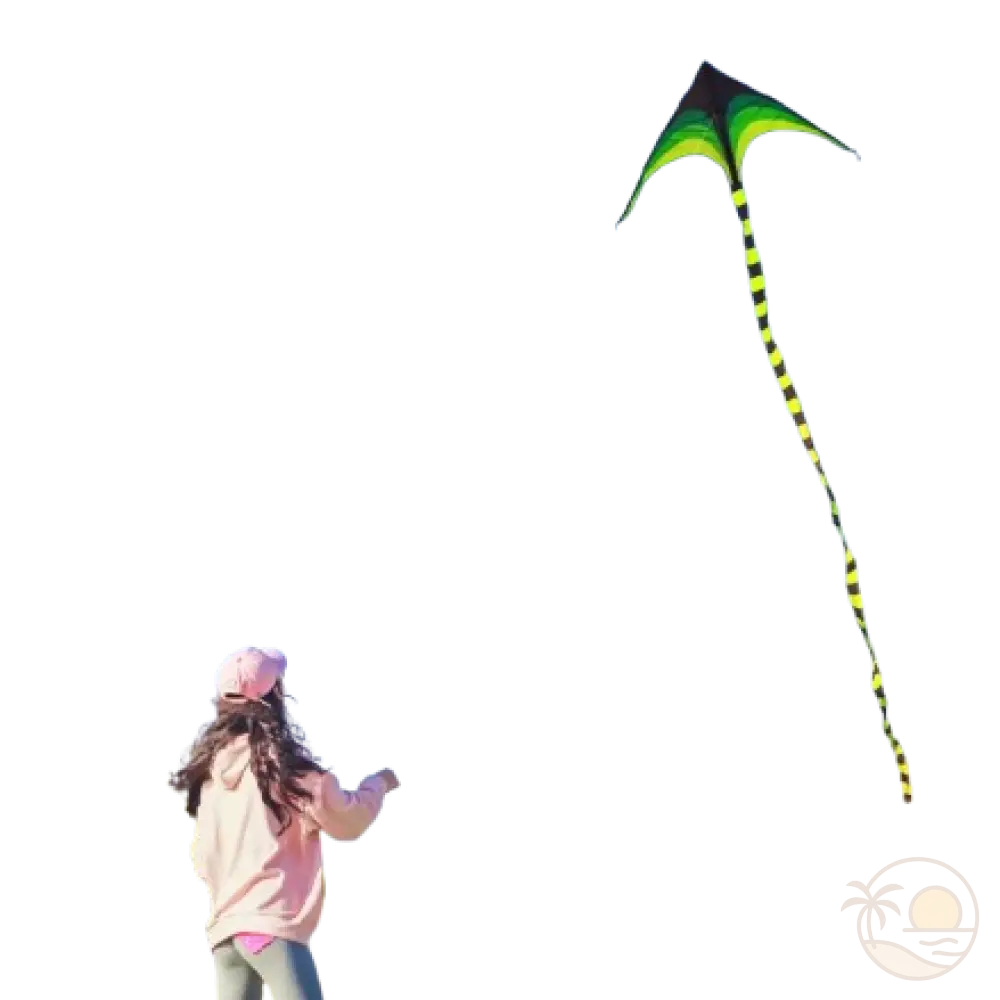 cerf-volant monofil vol