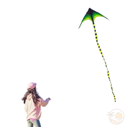 cerf-volant monofil vol