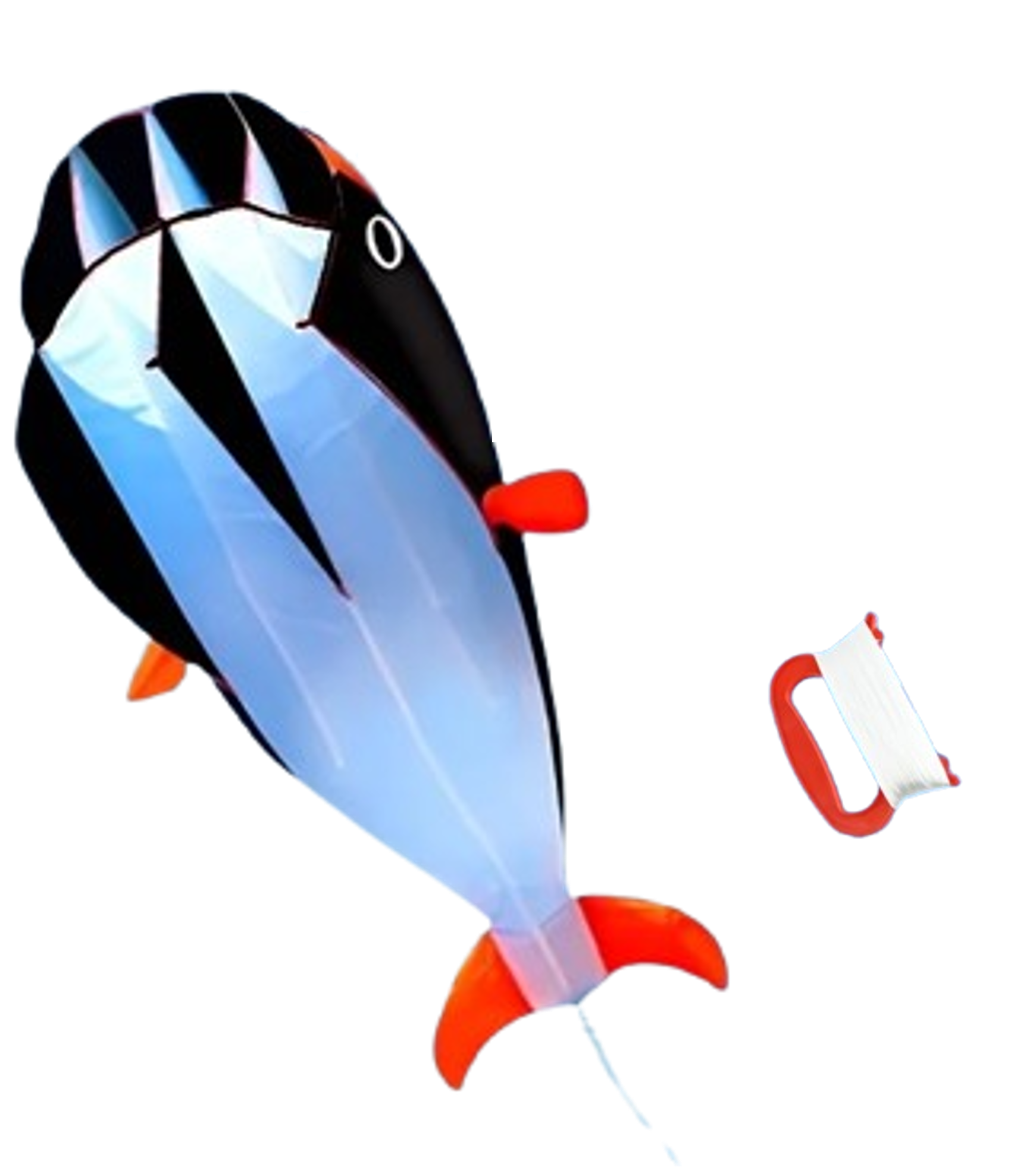 cerf volant baleine noire