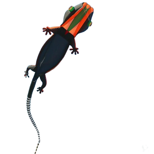 cerf volant geant gecko noir