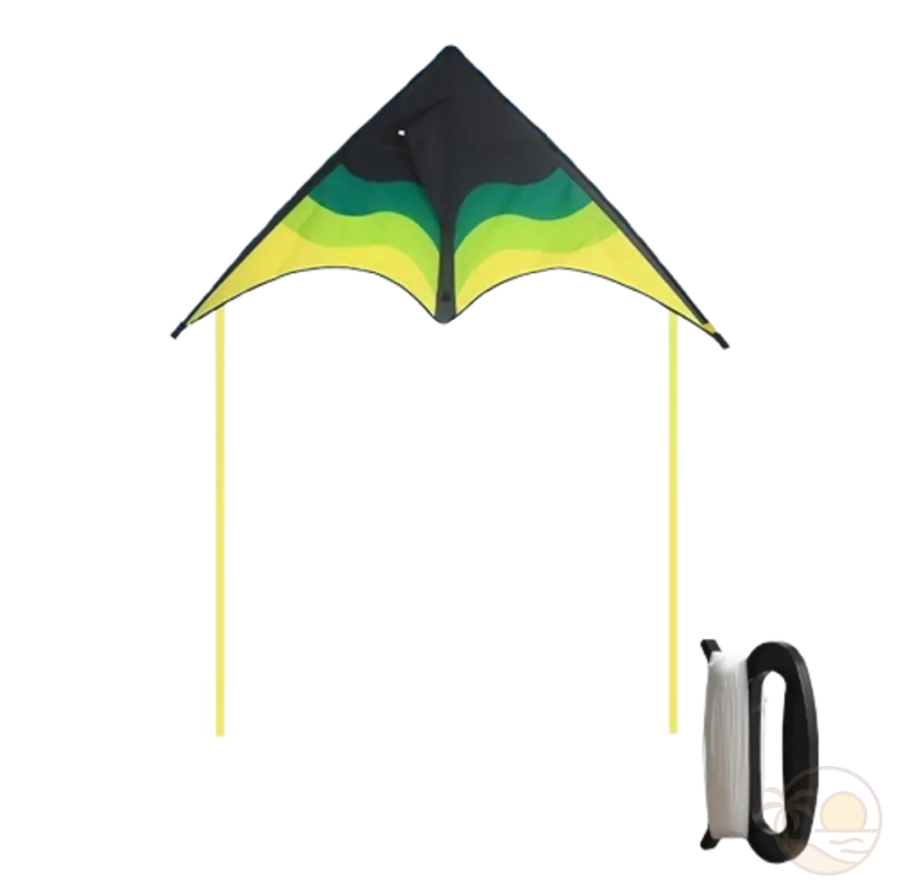 cerf volant plage vert