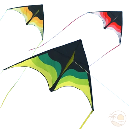 cerfs-volants plage vert jaune rose