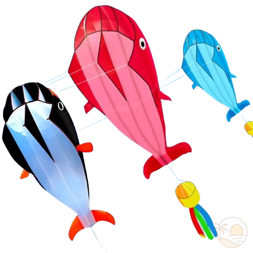 cerfs volants baleine noire rouge bleue