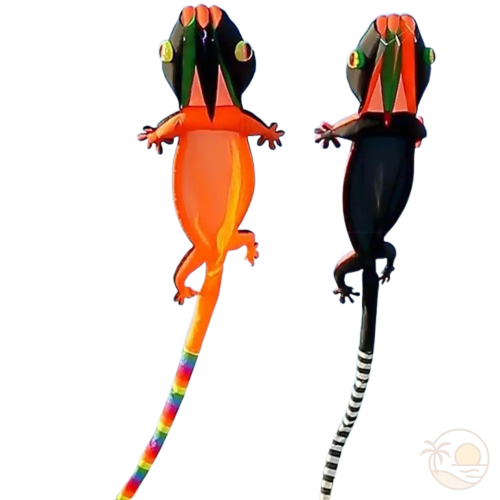 cerfs volants geants geckos