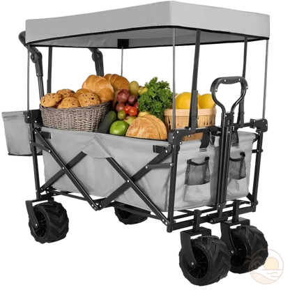 chariot de plage avec toit gris charge