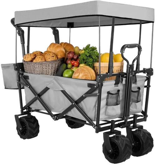 chariot de plage avec toit gris charge