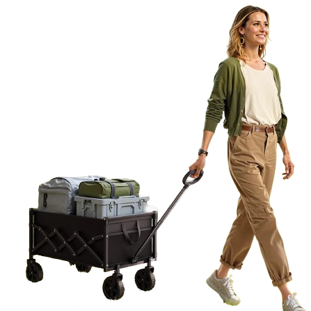 chariot de transport pour la plage femme