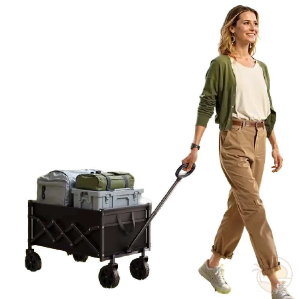 chariot de transport pour la plage femme