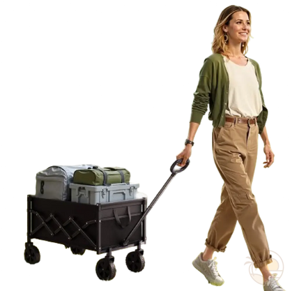 chariot de transport pour la plage femme