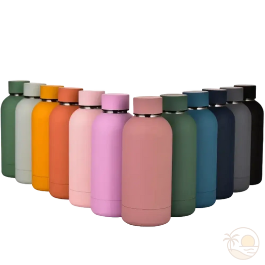 gourdes isothermes 350ml couleurs