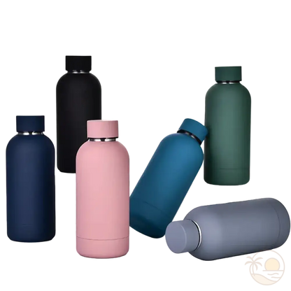 gourdes isothermes 350ml couleurs 2