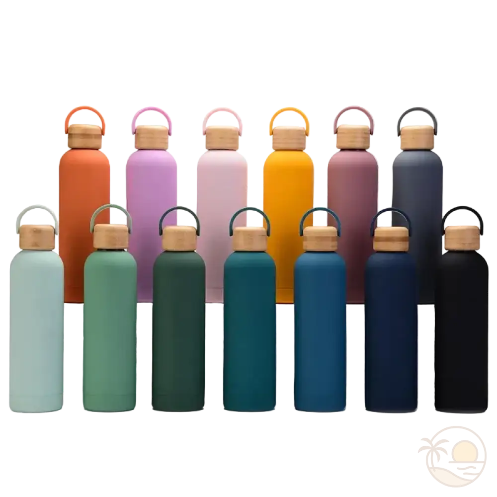 gourdes isothermes 750ml couleurs alignees